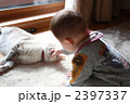 猫と赤ちゃん