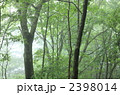 新　緑