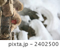 2402500
