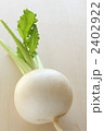 冬野菜の蕪