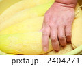 2404271