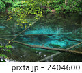 神の子池