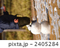雪だるま