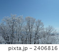 樹氷07 樹氷07