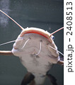 2408513