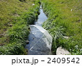 河川に傘