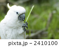 教えてあげるね