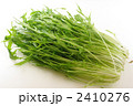 水菜