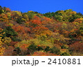 紅葉の山