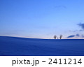 親子の木