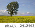 2412498