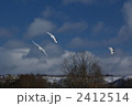 2412514