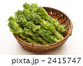 菜の花