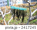干しワカメ