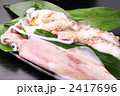 イカ　烏賊　タコ　蛸