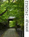 京都　新緑の光明寺