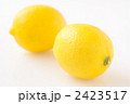 2423517