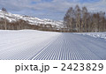 スキー場　圧雪