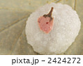 白い桜餅