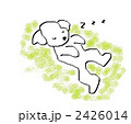 お昼寝ワンちゃん