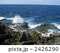 徳之島　犬田布岬