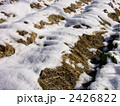畑の雪解け