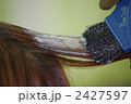 2427597