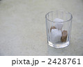 2428761