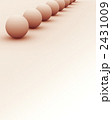 2431009