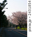 通学路の桜
