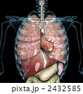 2432585