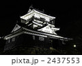 夜の浜松城　２