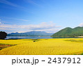 秋の田沢湖