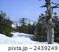 八甲田山