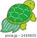 亀