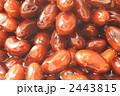 2443815