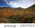 奥志賀高原の紅葉