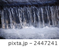 2447241