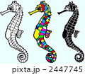タツノオトシゴ