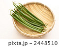 さやいんげん