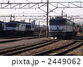 2449062