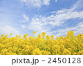 2450128
