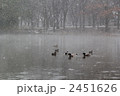 雪降る池
