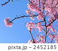 2452185