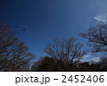 2452406