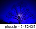 2452425