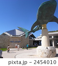 沖縄美ら海水族館