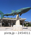 沖縄美ら海水族館