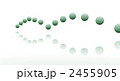 2455905