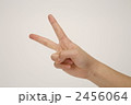 2456064